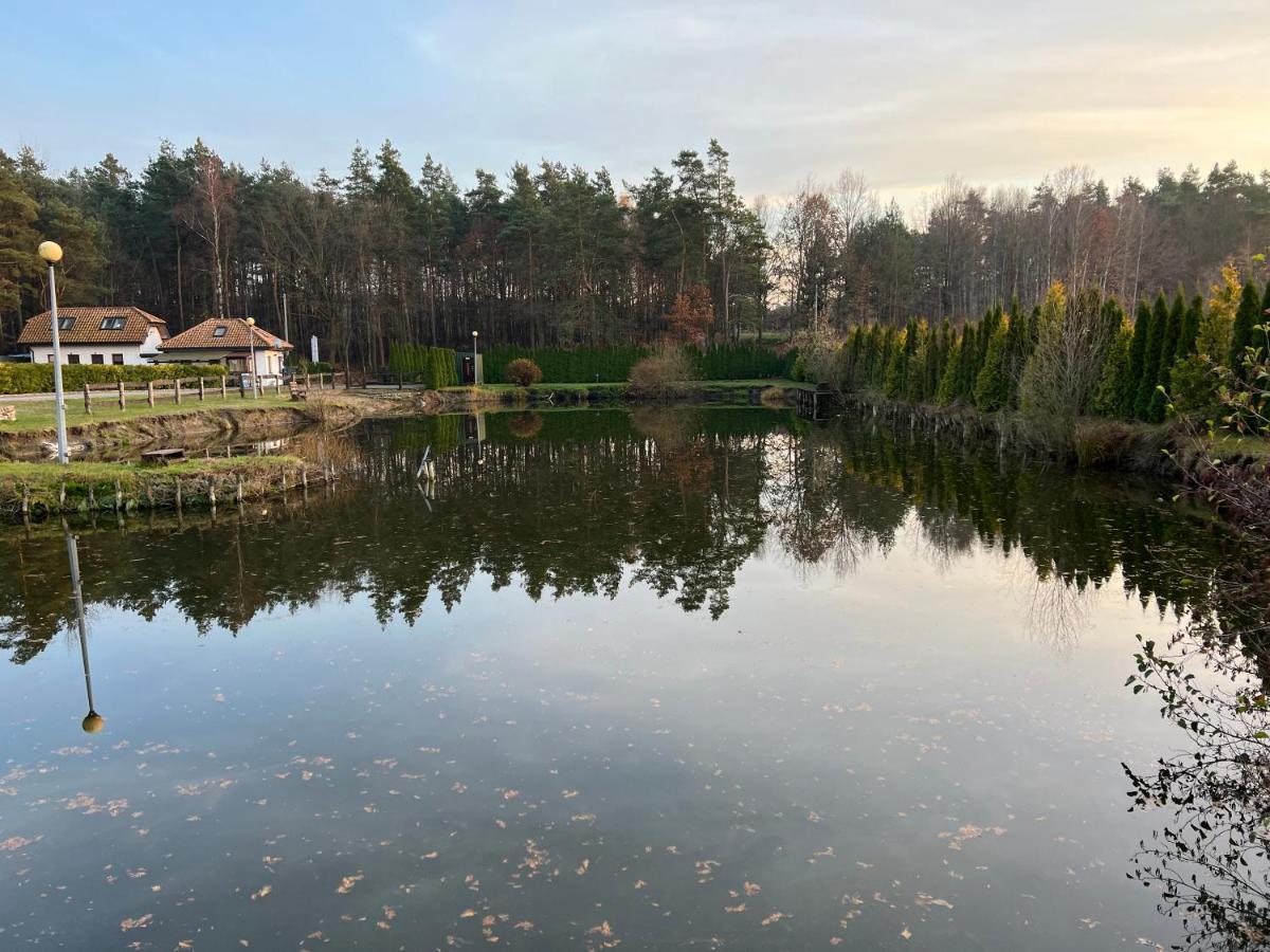 Rybaczowka Golub-Dobrzyn Hotel Luaran gambar